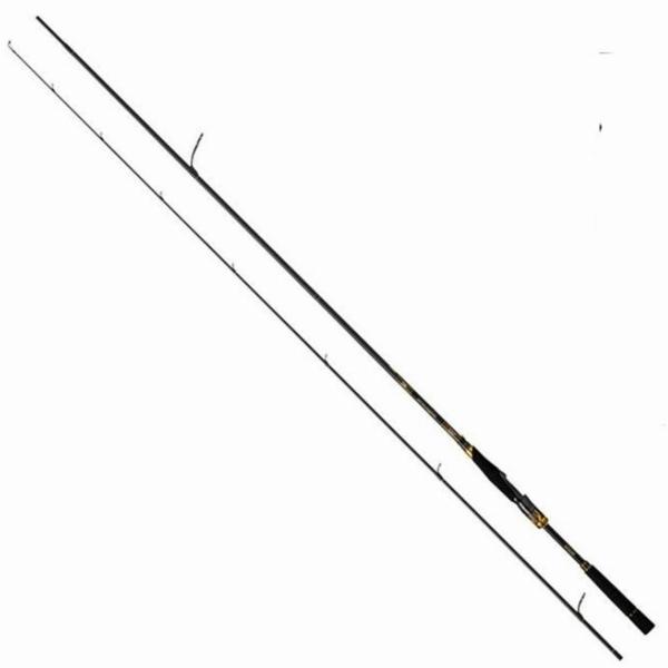 モアザン ブランジーノ EX AGS 98M/MH ダイワ : グッドフィッシング
