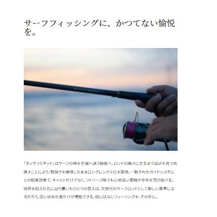 春の感謝セール 23ネッサＬＴＤ　Ｓ110ＭＨ＋ シマノ｜g-fishing｜05