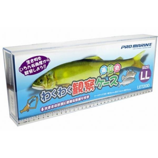 LET200-LL わくわく観察ケース LL 浜田商会｜g-fishing｜02