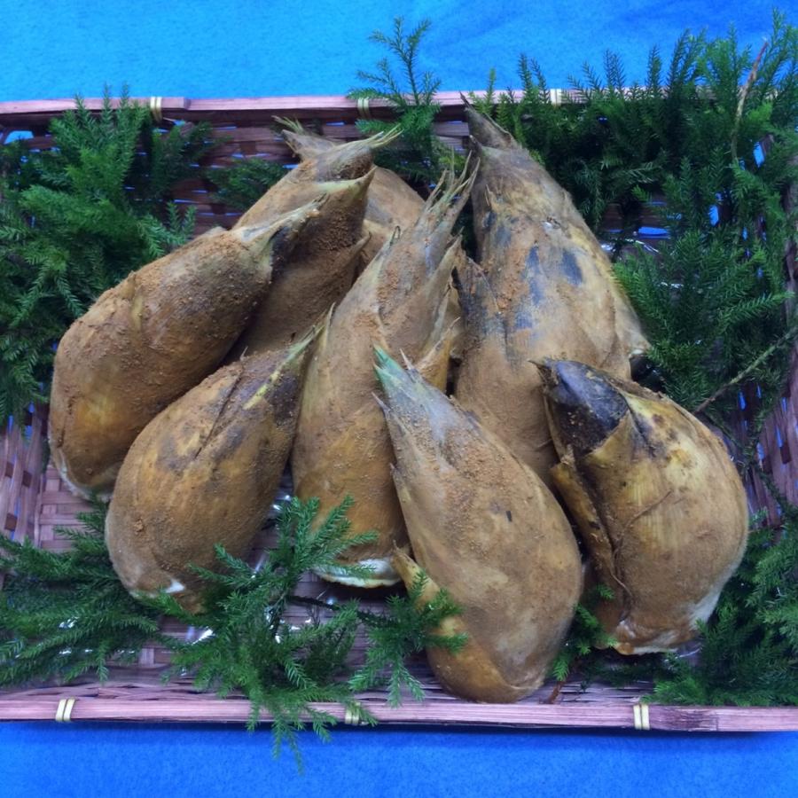 合馬産たけのこ　２ｋｇ　８本入り | 
