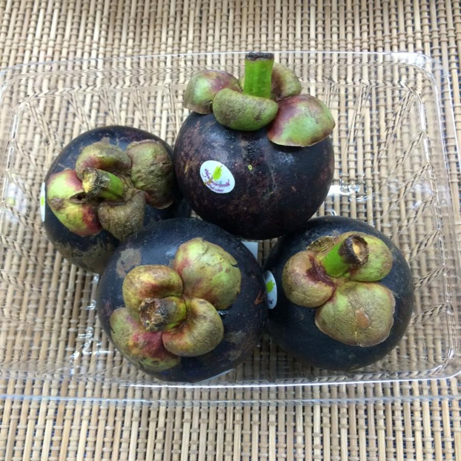 生マンゴスチン　タイ産　4個入り | 