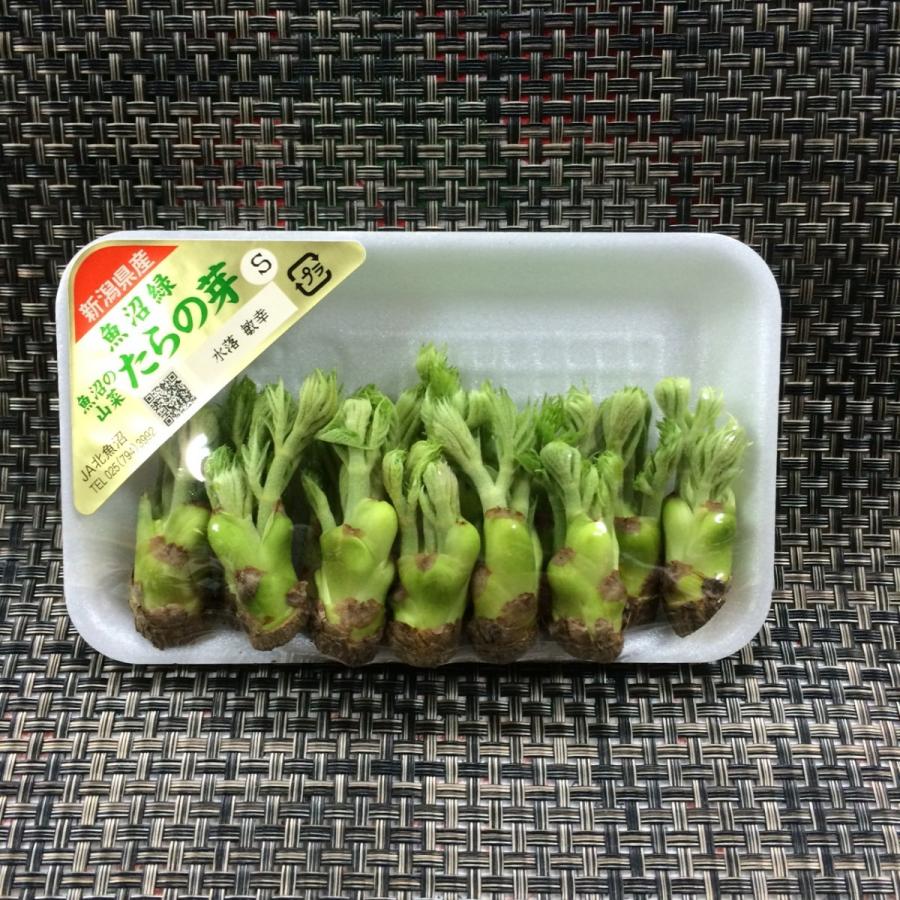 たらの芽　M 魚沼 | 