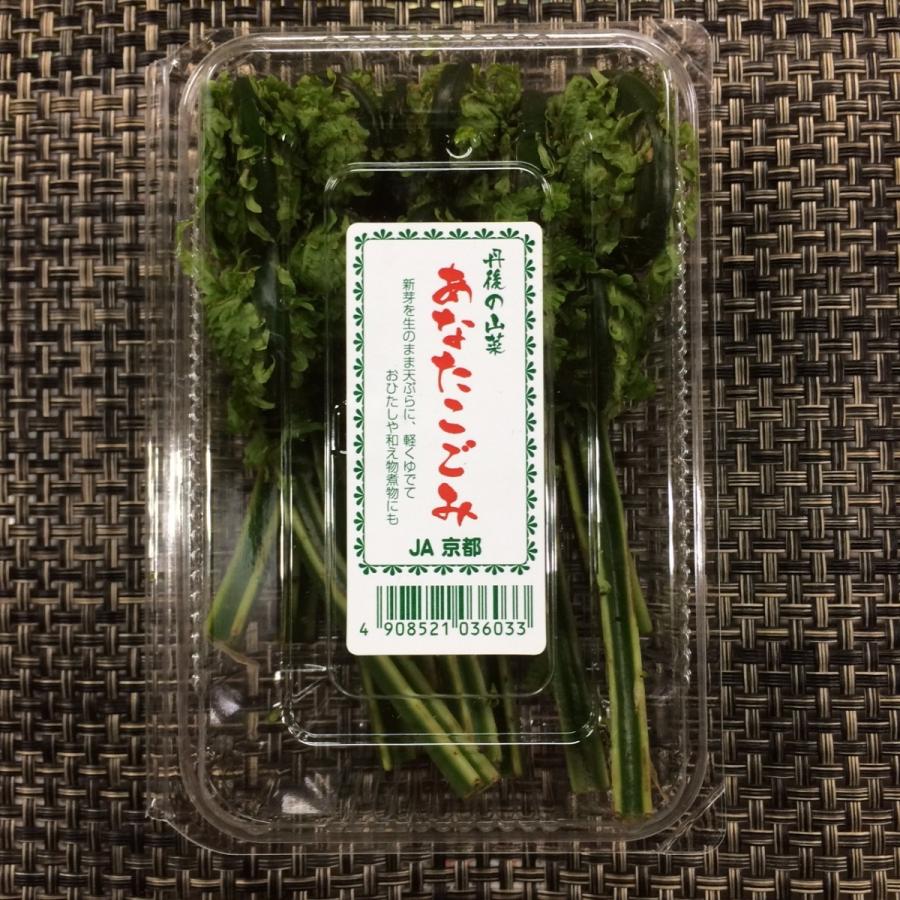 こごみ　京都産 |  | 01