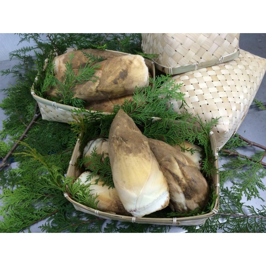筍進物用　かご　１組 | 
