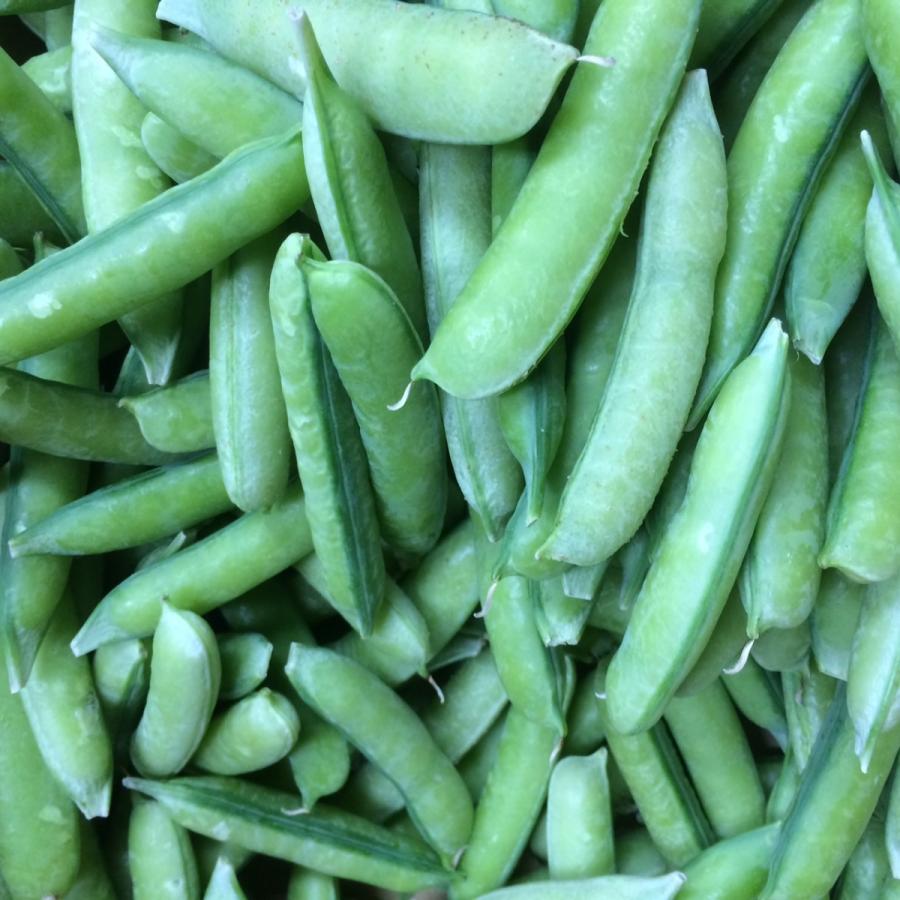 京都・滋賀産　うすいえんどう豆　　200ｇ | 