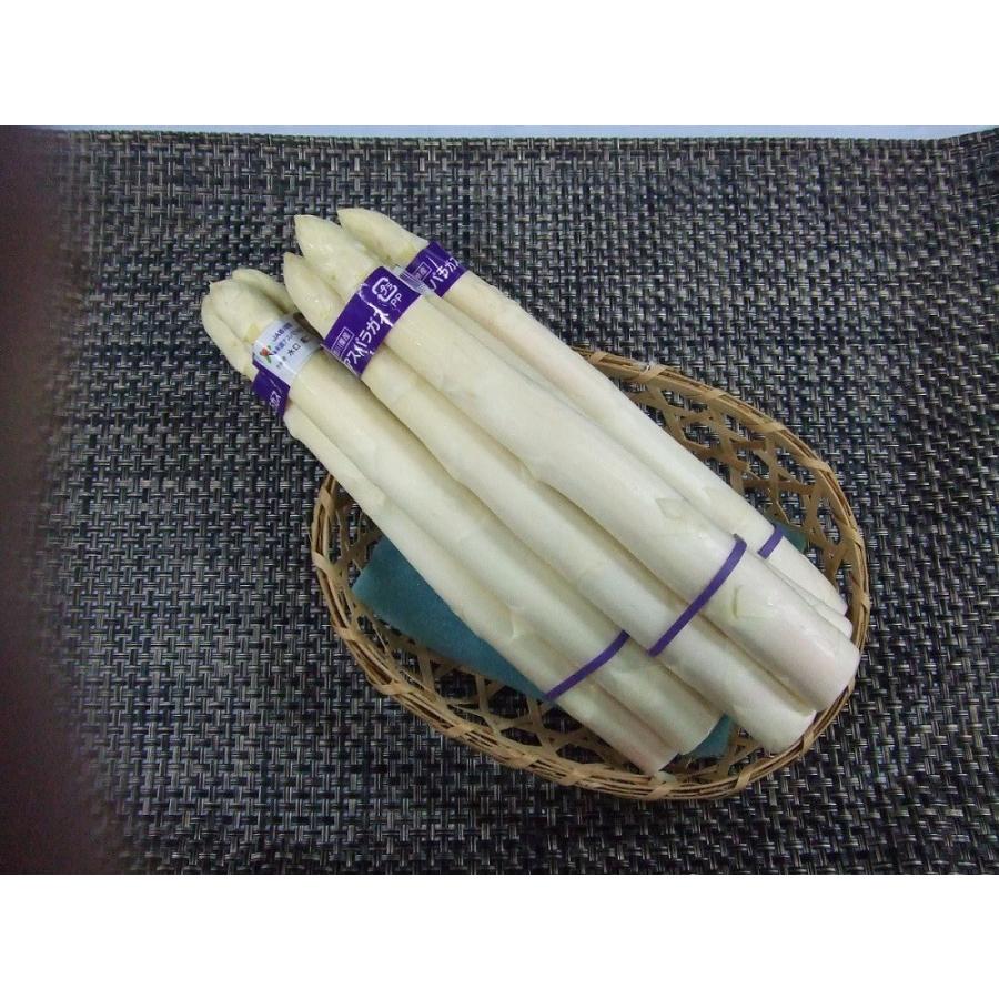 香川県産ホワイトアスパラ　１束（３本くくり） | 
