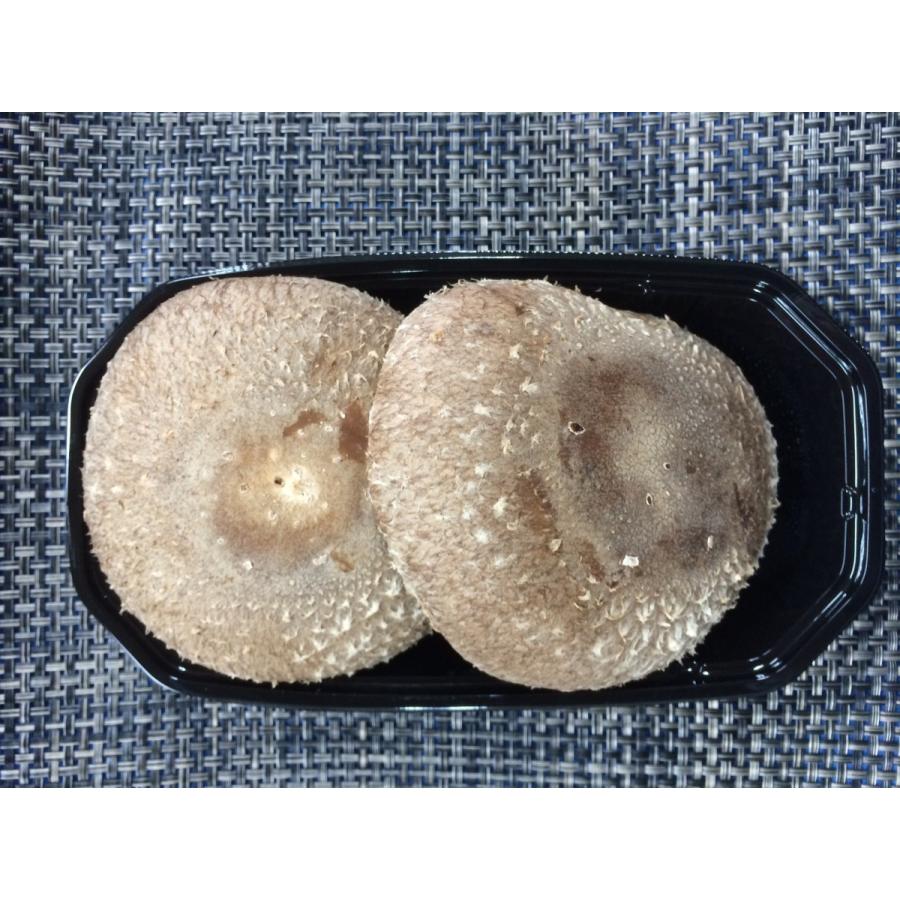 阿波の天恵こ　２入り小パック | 