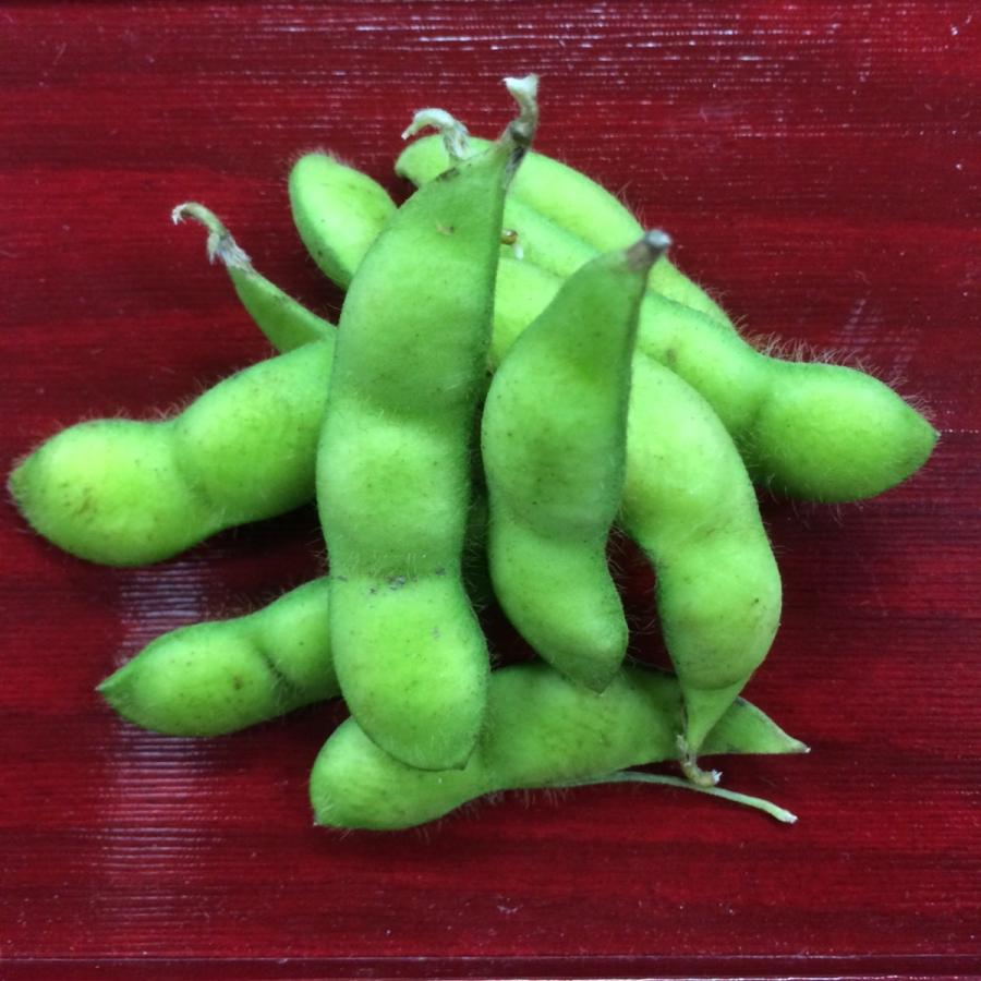 だだちゃ豆　１袋 |  | 01