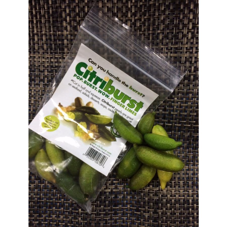 フィンガーライム　１ｐｃ　アメリカ産 |  | 02