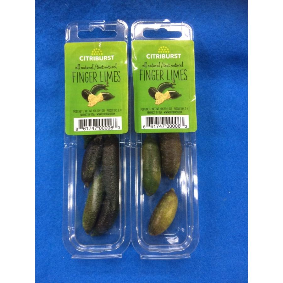 フィンガーライム　１ｐｃ　アメリカ産 |  | 03