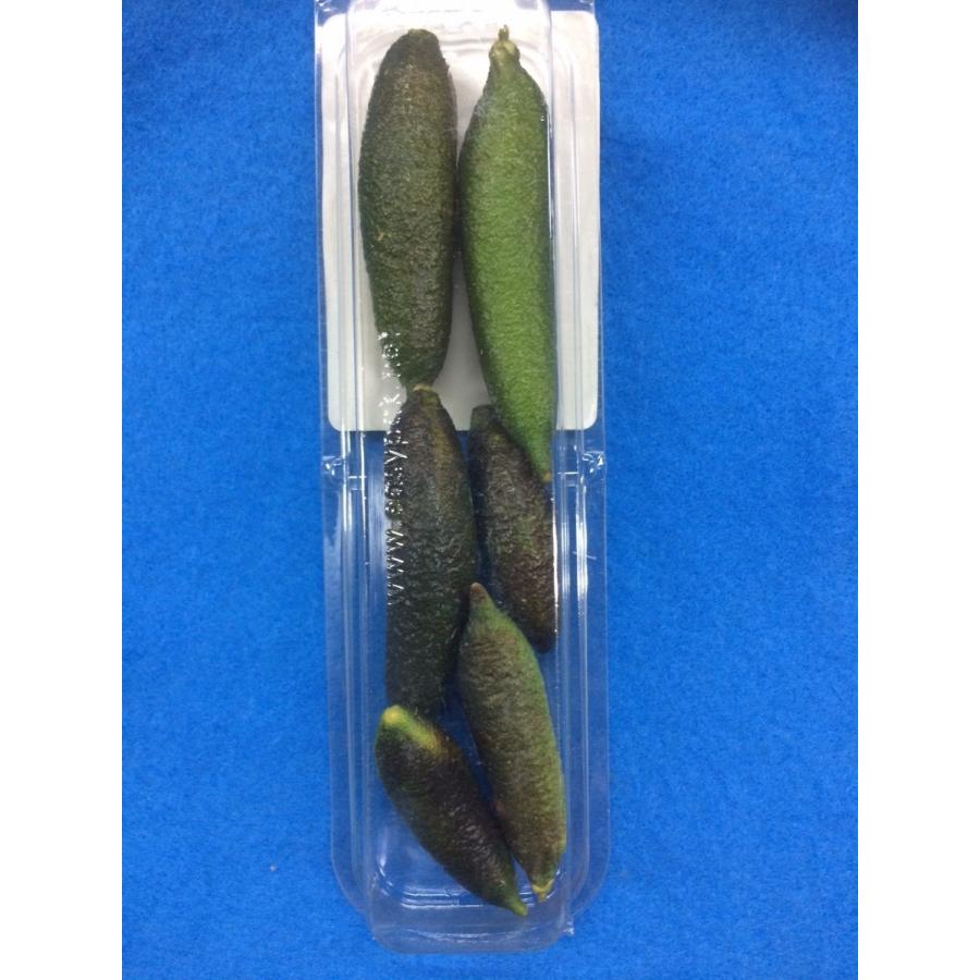 フィンガーライム　１ｐｃ　アメリカ産 |  | 04