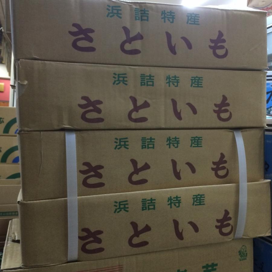 さといも　京都網野産　M　１ケース |  | 02