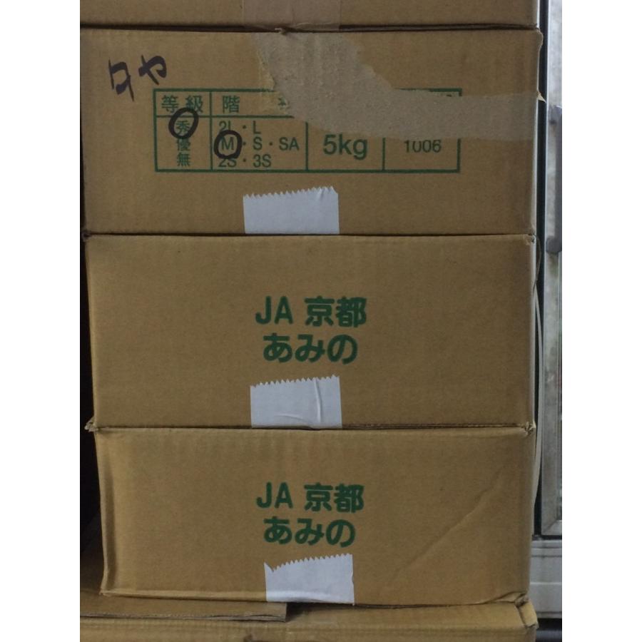 さといも　京都網野産　M　１ケース |  | 03