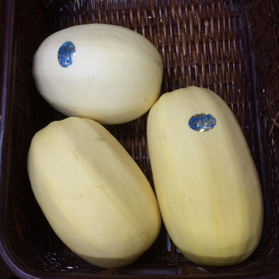 糸瓜(そうめんかぼちゃ） |  | 01