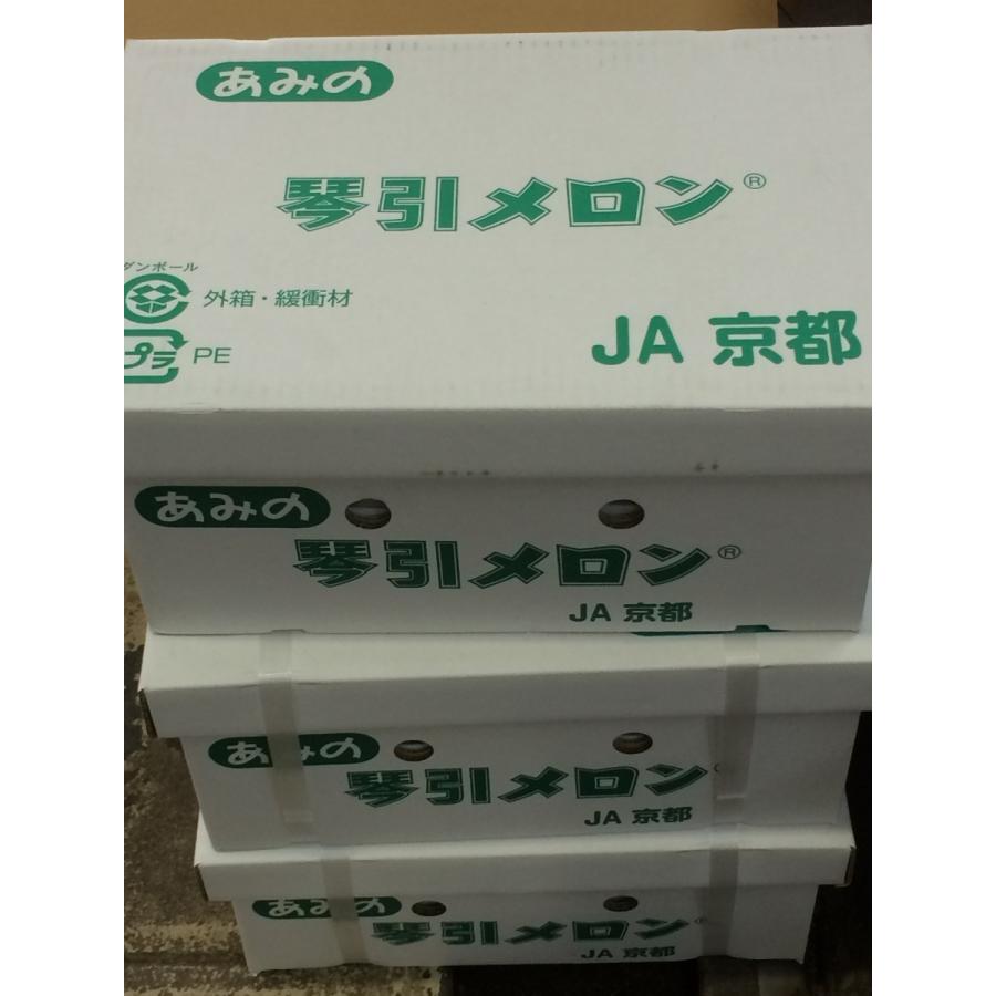 JA京都あみの琴引メロン 1ケース「琴」3L （2ヶ入り） : G-five