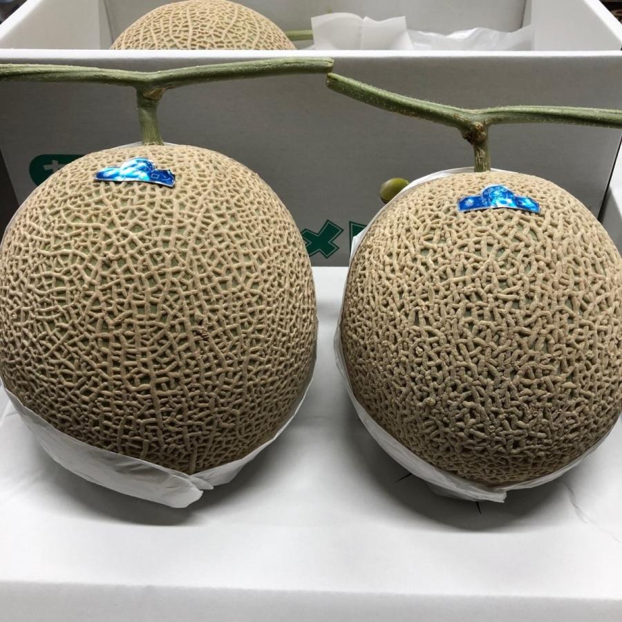 JA京都あみの琴引メロン 1ケース「琴」3L （2ヶ入り） : G-five