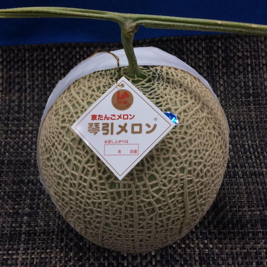 JA京都あみの琴引メロン 1ケース「琴」LA （2ヶ入り） : G-five