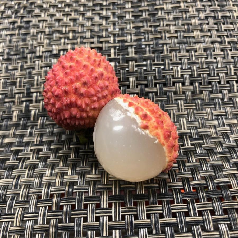 ライチ　和歌山県産　１pc | 