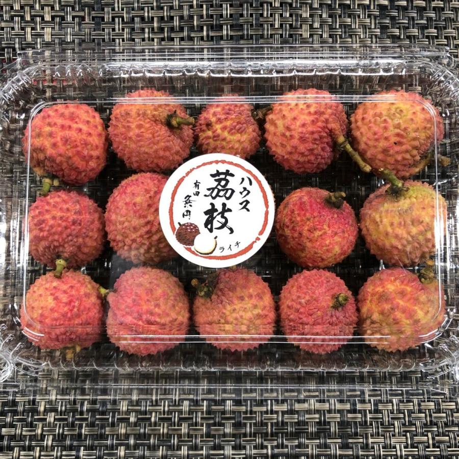 ライチ　和歌山県産　１pc |  | 01