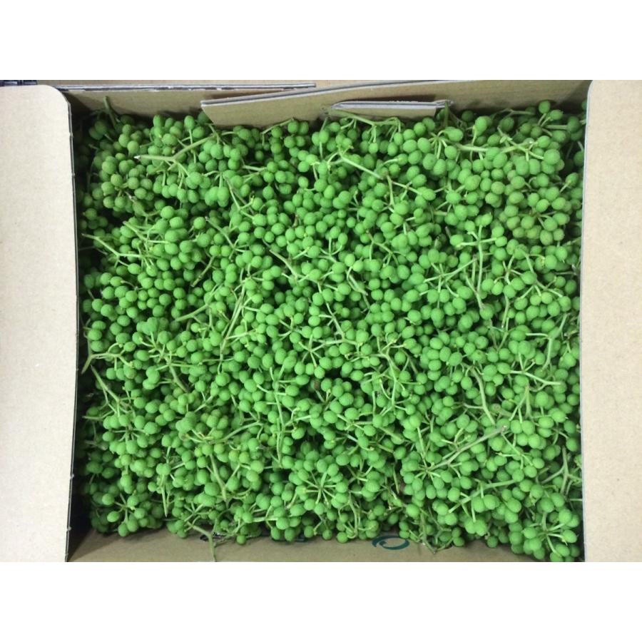 和歌山・高知・奈良県産　実山椒　500ｇ | 