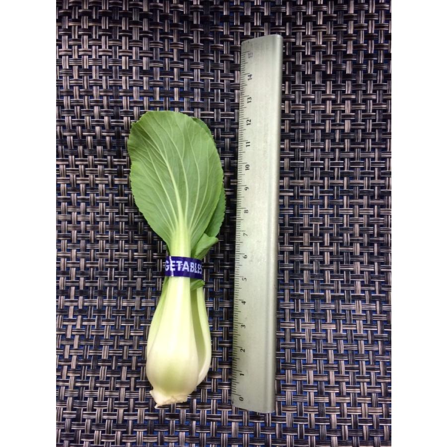 ミニ青梗菜 |  | 01