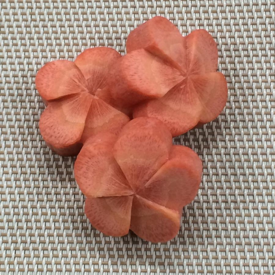 ねじり梅人参 10個 Ninjinume10 G Five 通販 Yahoo ショッピング