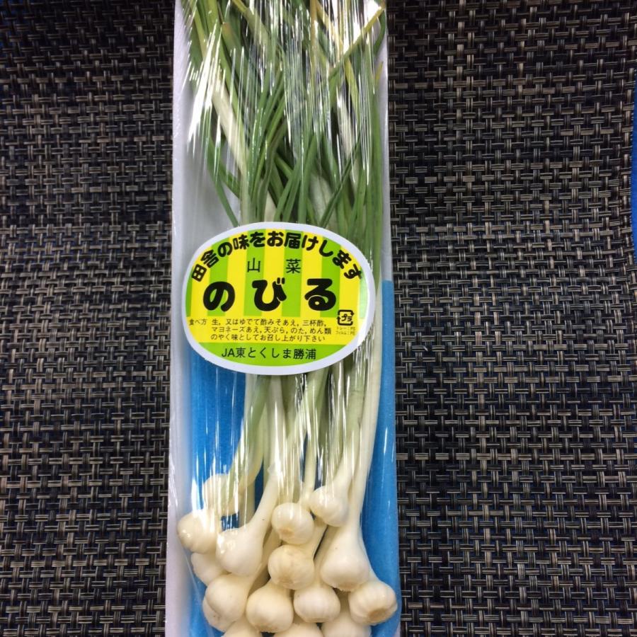 のびる　徳島県産　１ｐｃ |  | 01