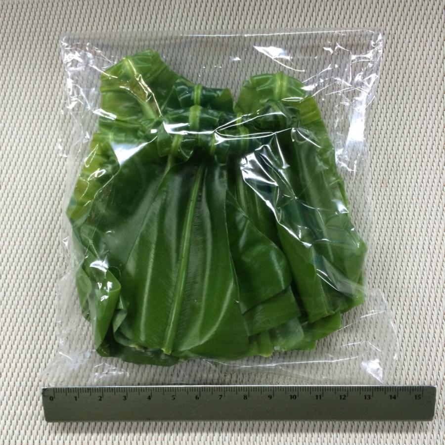 オオタニワタリの新芽 1pc |  | 01