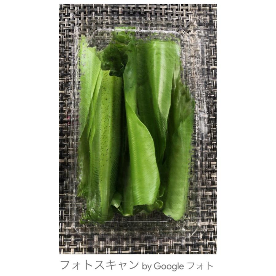 オオタニワタリの新芽 1pc |  | 02