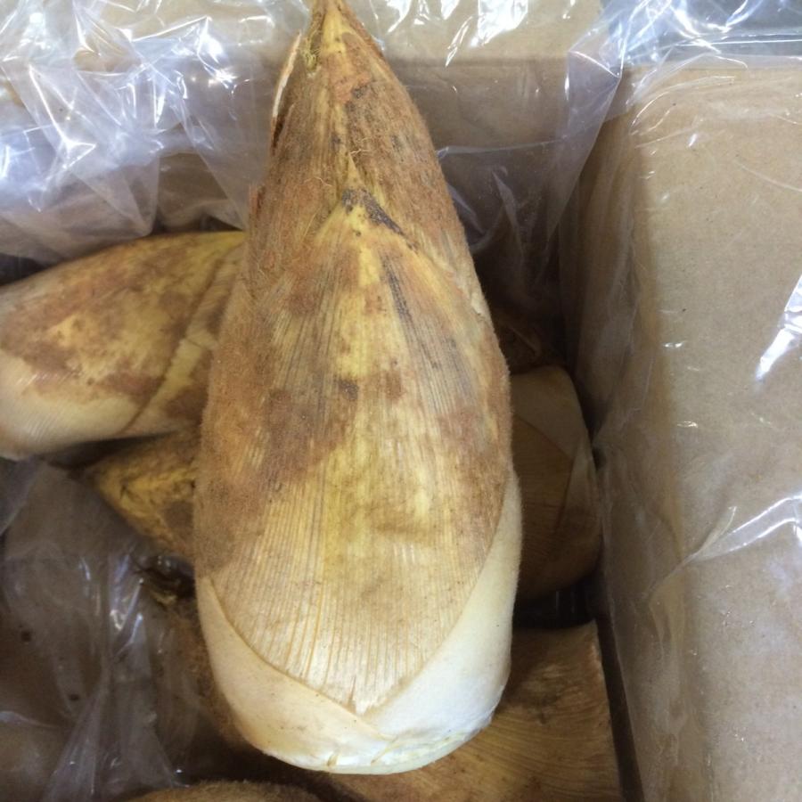 合馬産たけのこ　２ｋｇ　6本入り |  | 01