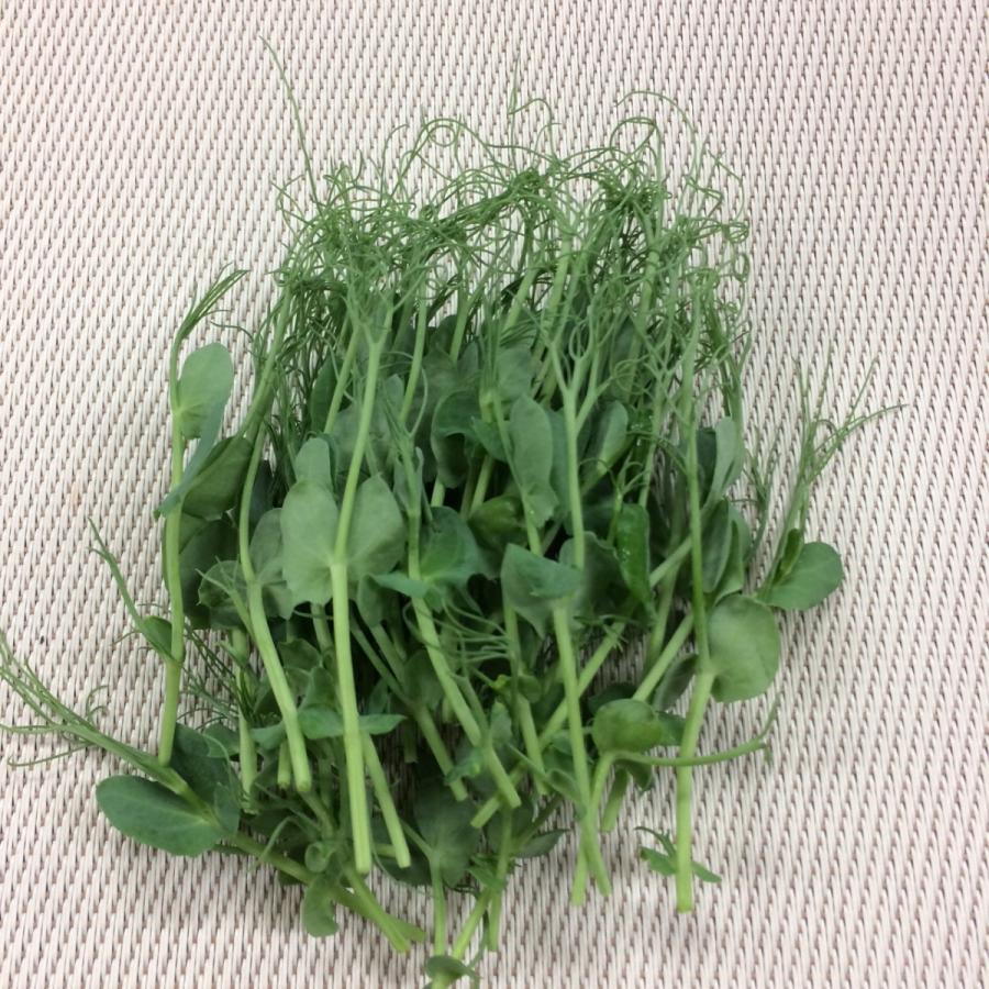 ピーテンドリル　１pc |  | 01