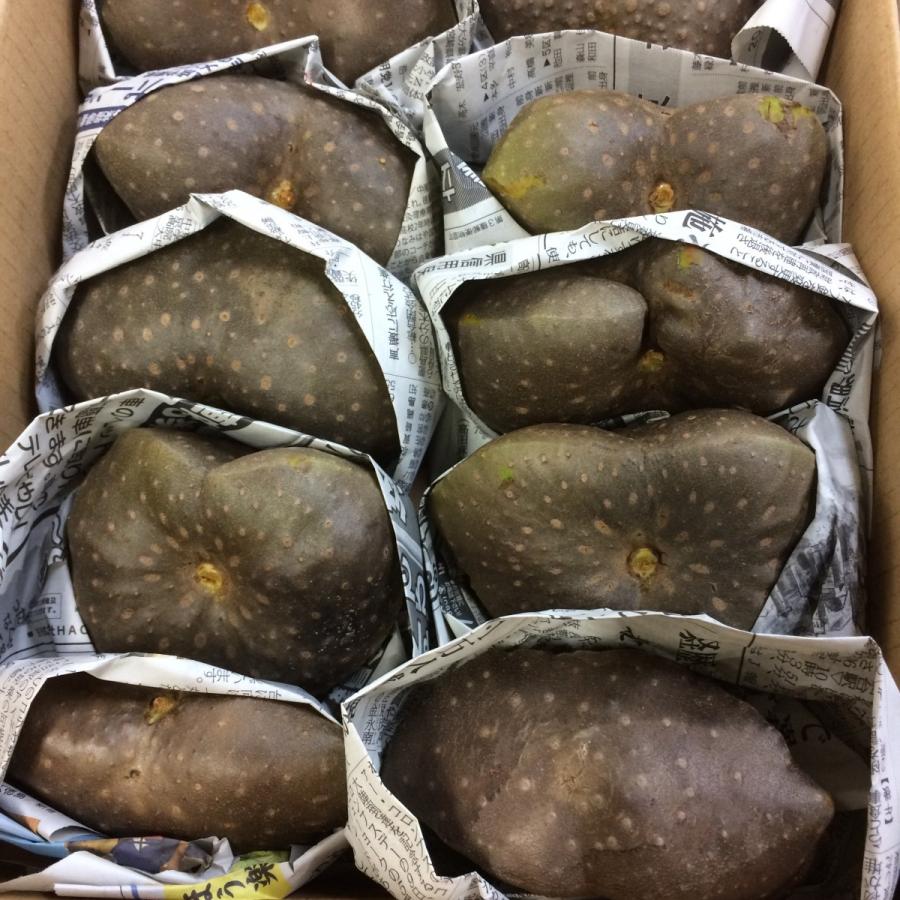 宇宙芋　エアーポテト　１ケース | 