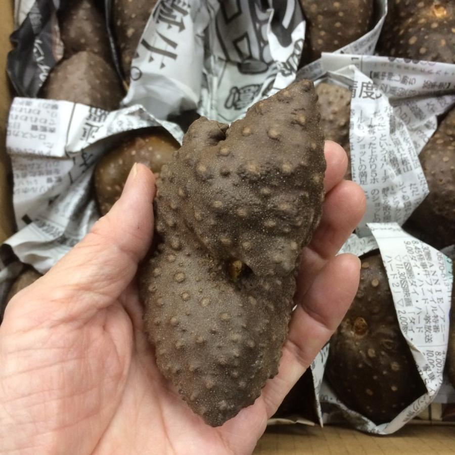 宇宙芋　エアーポテト　１ケース |  | 01