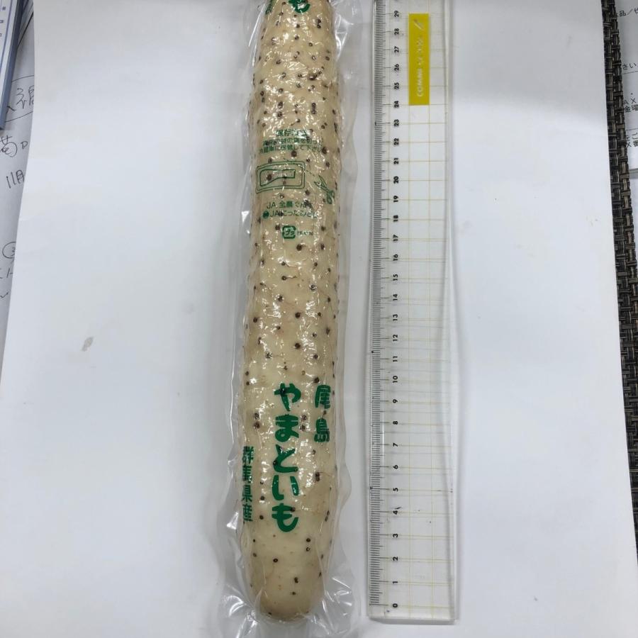 大和芋　１本 | 