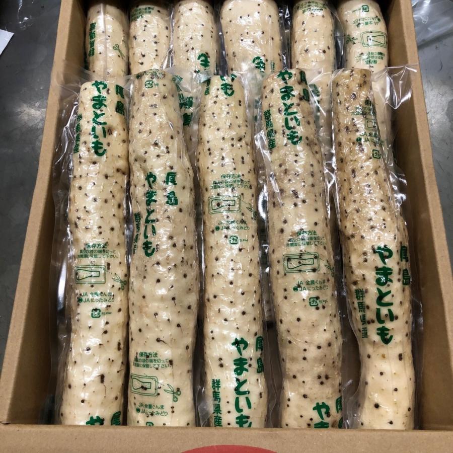 大和芋　１本 |  | 01