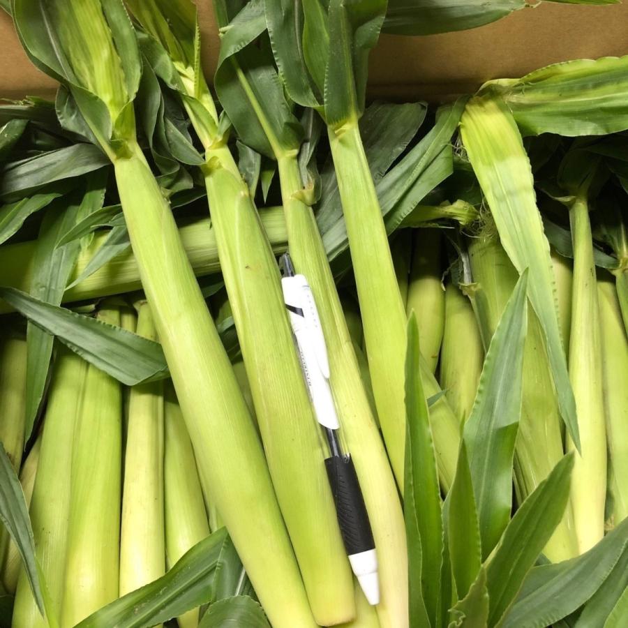 皮付きヤングコーン　国産　50本入り　 |  | 01