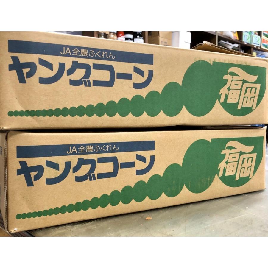 皮付きヤングコーン　国産　50本入り　 |  | 03