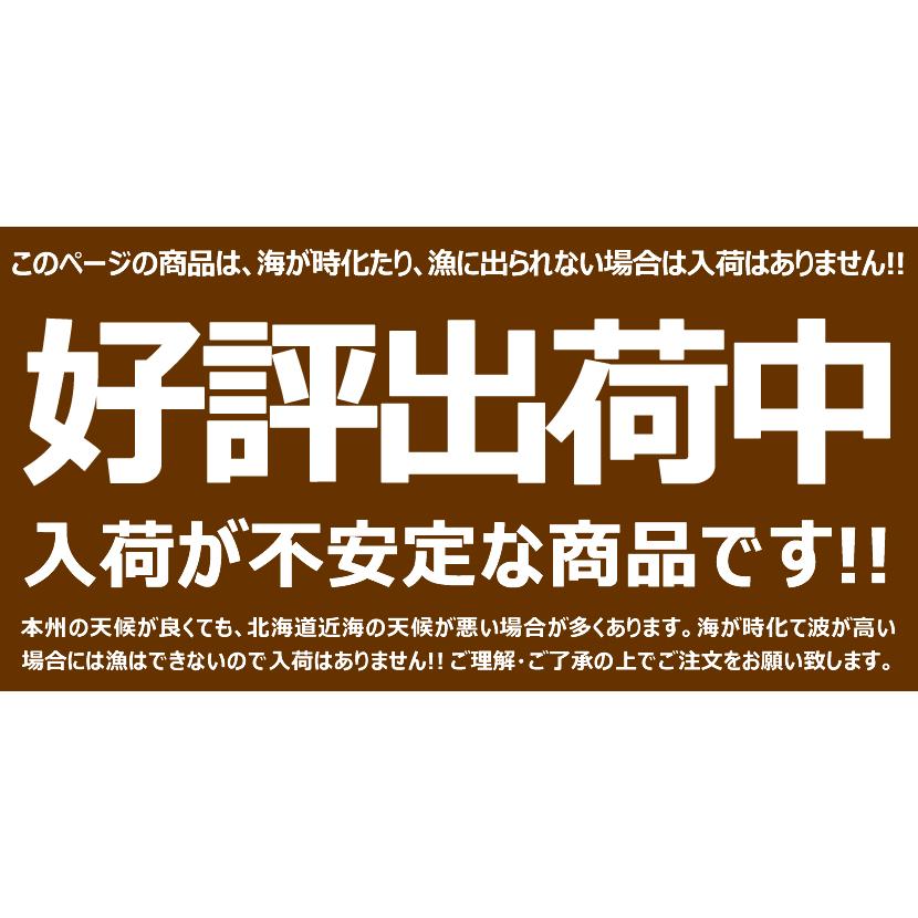 【出荷中】母の日 北方四島産 塩水ウニ 生ウニ バフンウニ 200g (100g×2P/冷蔵) 塩水うに 蝦夷バフンウニ ウニ丼 ギフト 北海道 グルメ 送料無料 お取り寄せ｜g-hokkaido｜09