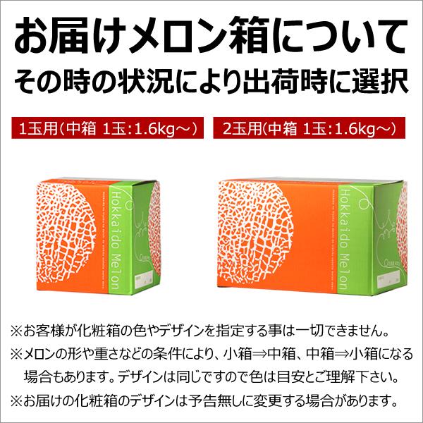 【予約】北海道産 訳あり らいでんメロン 2玉セット (赤肉＆青肉/ツル無し/1玉 1.6kg) わけあり メロン 自宅用 果物 フルーツ 北海道 送料無料 お取り寄せ｜g-hokkaido｜15