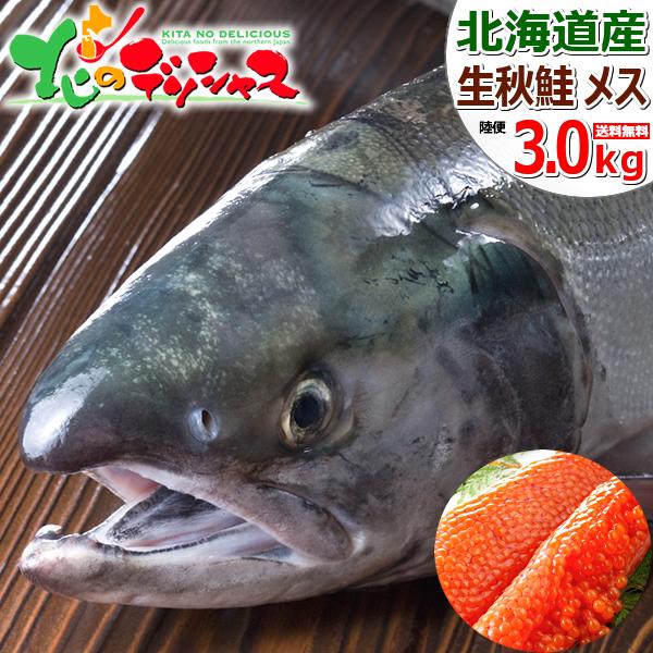 【予約】北海道産 生秋鮭 3.0kg (メス 筋子付き/冷蔵品) 限定 旬 秋 秋鮭 秋しゃけ 秋シャケ ギフト 贈り物 プレゼント ご家庭用 北海道 グルメ お取り寄せ