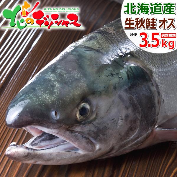 【予約】北海道産 生秋鮭 3.5kg (オス/冷蔵品) 限定 秋 秋鮭 秋しゃけ 秋サケ ギフト 贈り物 自宅用 家庭用 人気 北海道 グルメ 送料無料 お取り寄せ｜g-hokkaido