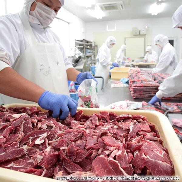 ジンギスカン ラム肉 味付きジンギスカン 1kg (醤油味or塩味/肩ショルダー/冷凍) 肉 ラム 羊肉 焼肉 BBQ 北海道 千歳ラム工房 肉の山本 グルメ お取り寄せ | ブランド登録なし | 16