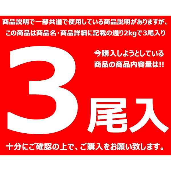 カニ 訳あり ズワイガニ 2kg箱 (姿/3尾入り/ボイル済み/冷凍) 北海道 ずわい ずわいかに ズワイ グルメ お取り寄せ｜g-hokkaido｜02