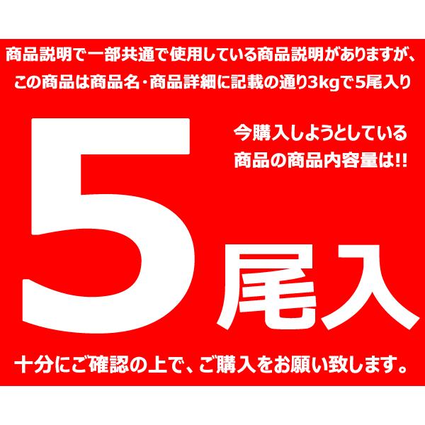 カニ 訳あり ズワイガニ 3kg箱 (姿/5尾入り/ボイル済み/冷凍) 北海道 ずわい ずわいかに ズワイ グルメ お取り寄せ｜g-hokkaido｜02