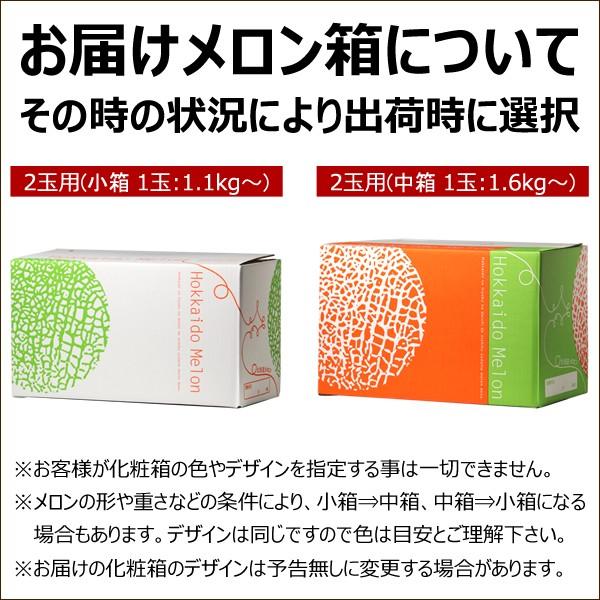 【予約】北海道 富良野メロン 2玉入り (JAふらの共撰/秀品/1玉1.3kg) ギフト 贈り物 残暑見舞い ご家庭用 果物 フルーツ 北海道 送料無料 お取り寄せ｜g-hokkaido｜12