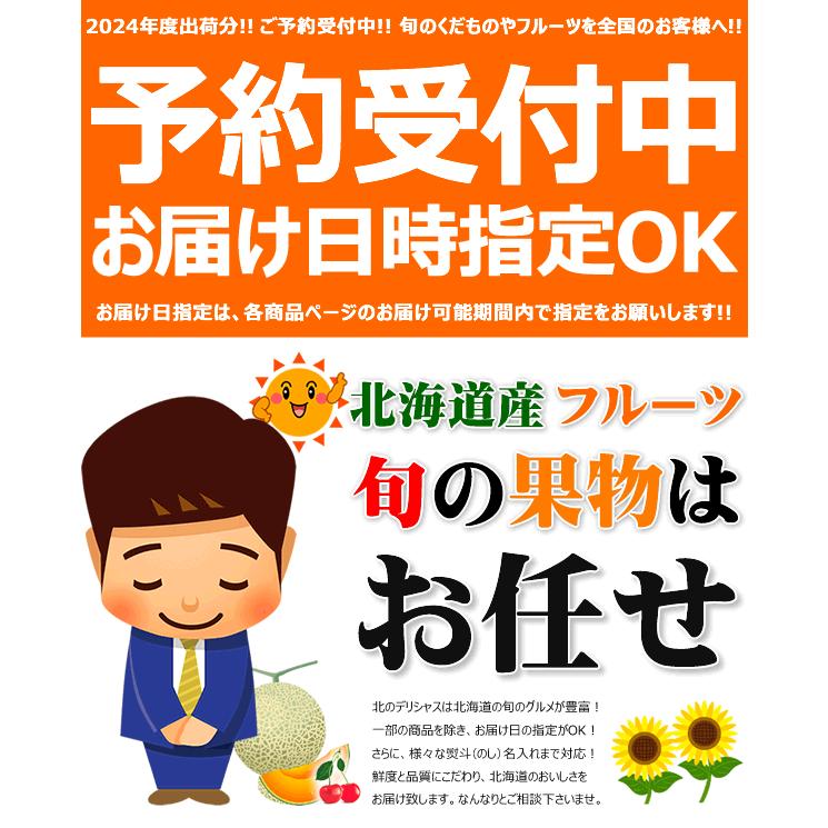 お中元 北海道 富良野メロン 2玉入り (JAふらの共撰/秀品/1玉 1.6kg/常温便) メロン 夏ギフト ギフト 贈り物 暑中見舞い 果物 フルーツ 北海道直送 お取り寄せ｜g-hokkaido｜16