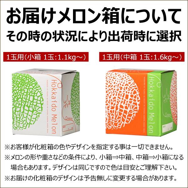 【予約】北海道 メロン 富良野メロン 1玉 (JAふらの共撰/秀品/1玉 2.0kg) ギフト 贈り物 残暑見舞い 果物 フルーツ 北海道 送料無料 お取り寄せ｜g-hokkaido｜12