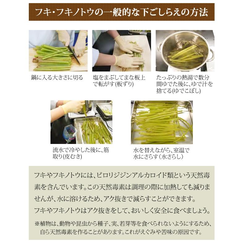 出荷間近】北海道産 山菜 天然 アキタブキ 3kg (常温便) 春の 出荷間近】北海道産 山菜 天然 アキタブキ 3kg (常温便) 春の