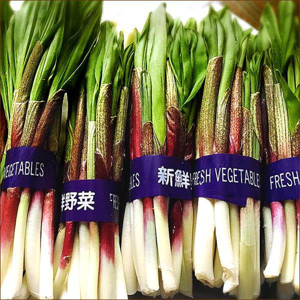 本物 強烈 行者ニンニク 醤油漬け 8本セット (北海道産/天然 本物 強烈 行者ニンニク 醤油漬け 8本セット (北海道産/天然