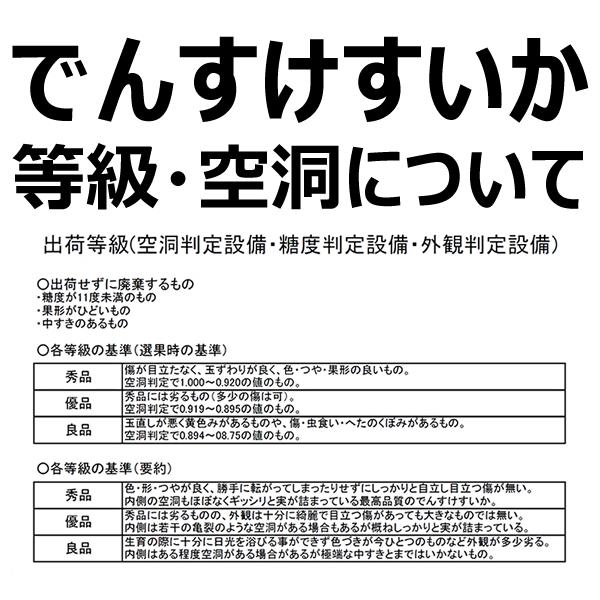 【販売中止】お中元 北海道産 でんすけすいか 1玉 5kg (JA共撰/秀品/常温便) 真っ黒 スイカ ギフト 贈り物 暑中見舞い 残暑見舞い 北海道 送料無料 お取り寄せ｜g-hokkaido｜05